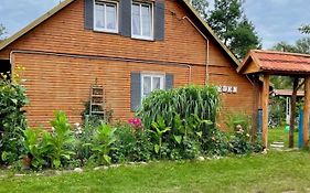 Ozierański Eden Pod rzeźbami